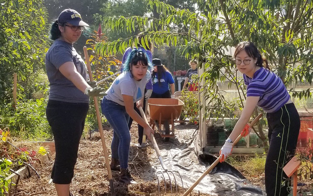 a group of young females raking mulch and pushing a wheelbarrow