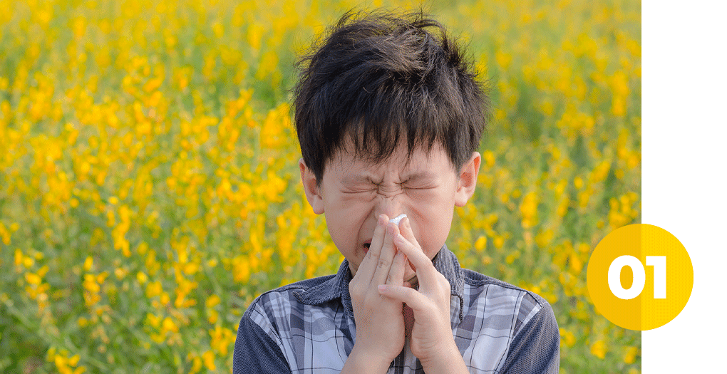 young boy wrinkling nose and sneezing hard in a field of yellow wild flowers