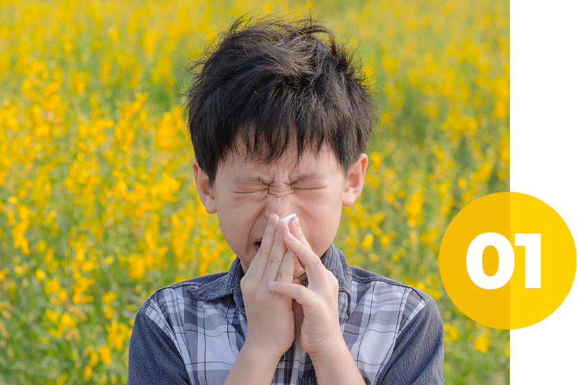 young boy wrinkling nose and sneezing hard in a field of yellow wild flowers